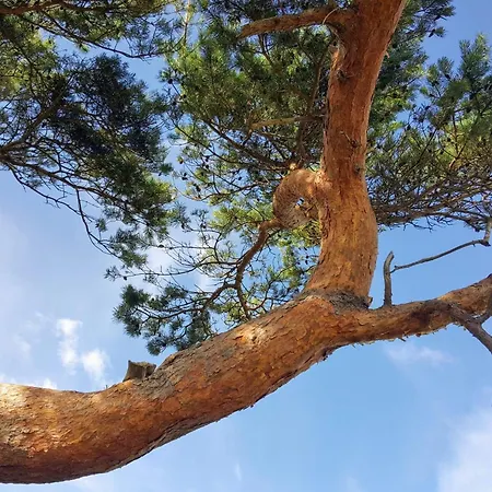 Luxury Retreat With Pool - By Traum *