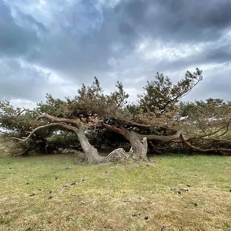 Luxury Retreat With Pool - By Traum Дом отдыха