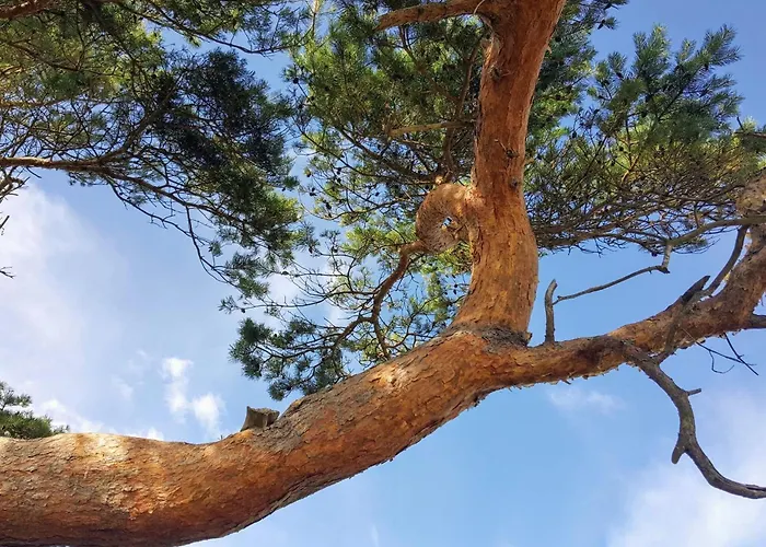 Luxury Retreat With Pool - By Traum *