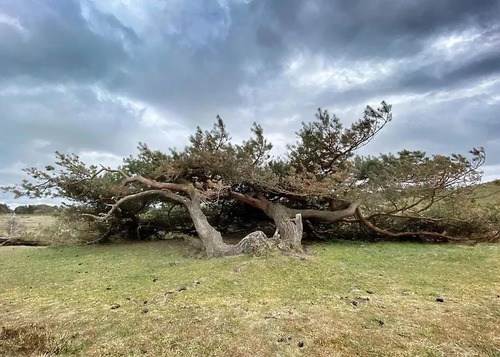 Luxury Retreat With Pool - By Traum Semesterbostad