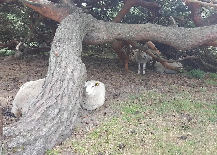 Luxury Retreat With Pool - By Traum