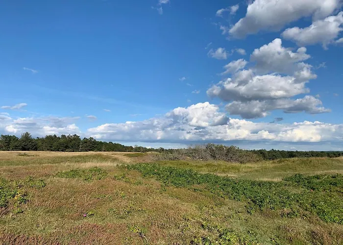 Luxury Retreat With Pool - By Traum Tisvilde